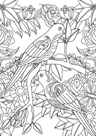 Free Coloring Sheets For Adults Bird