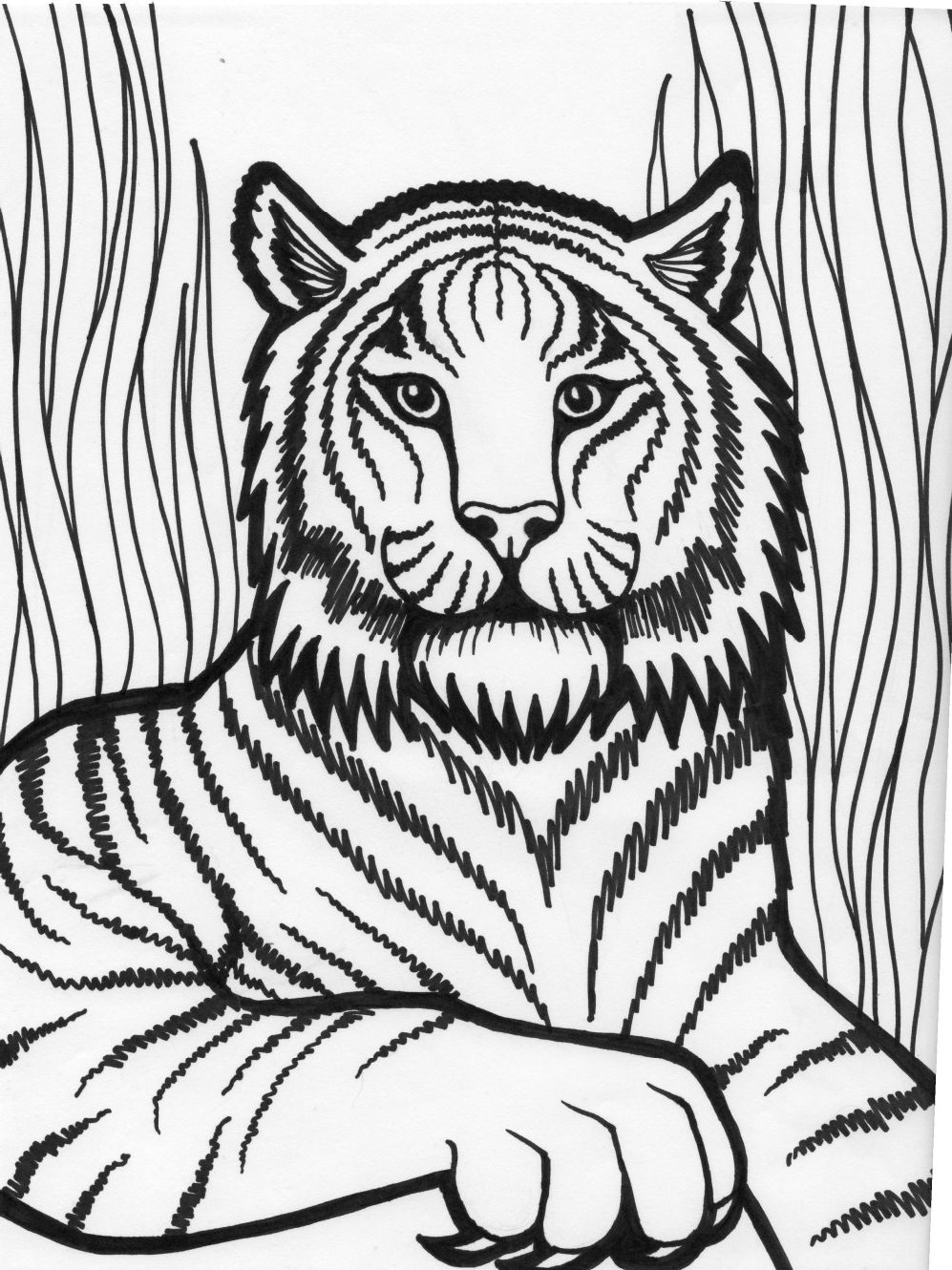 Free Printable Coloring Pictures Tiger