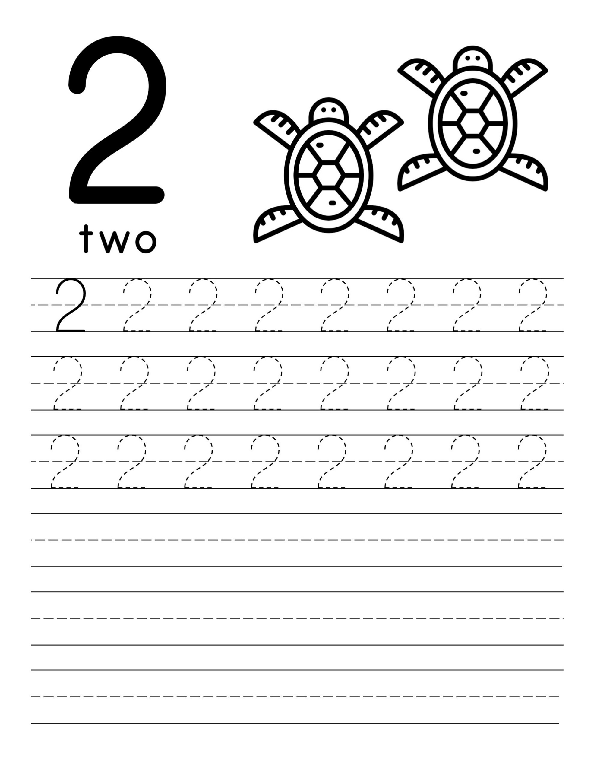 Kindergarten Tracing Worksheets Turtle