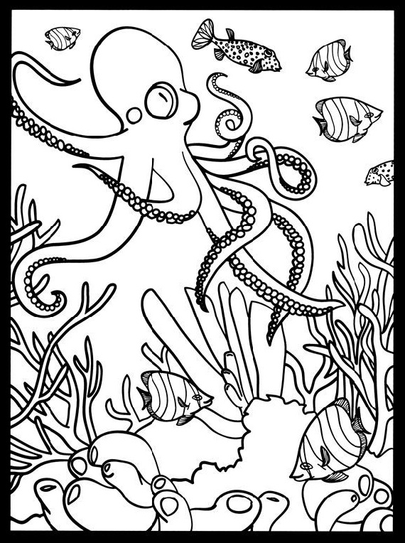 Coloring Sheets For Preschoolers Octopus
