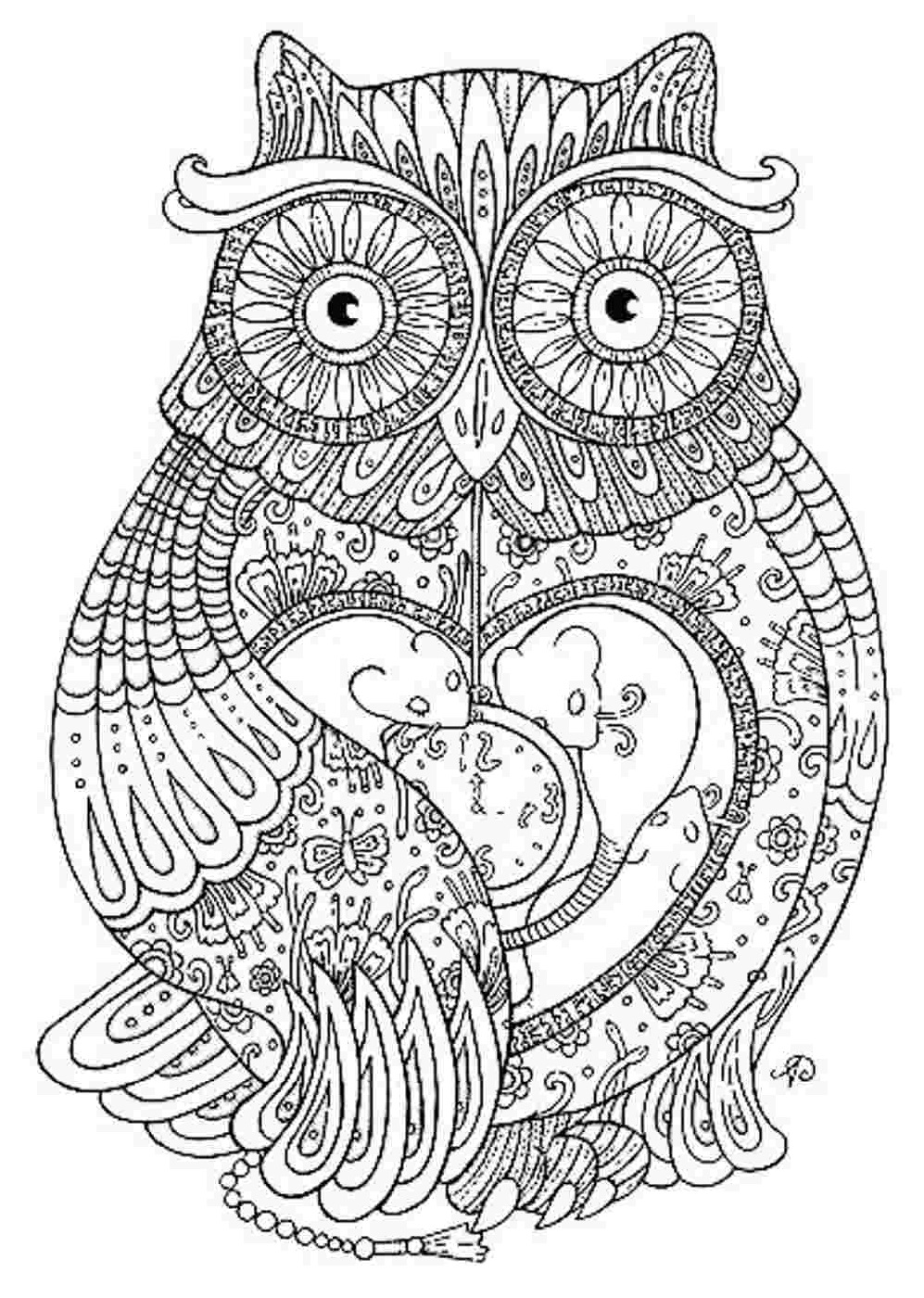 Free Download Coloring Pages Animal