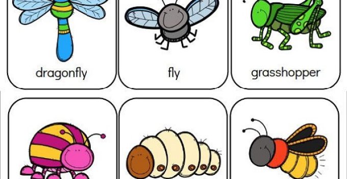 Free Preschool Printables Bug
