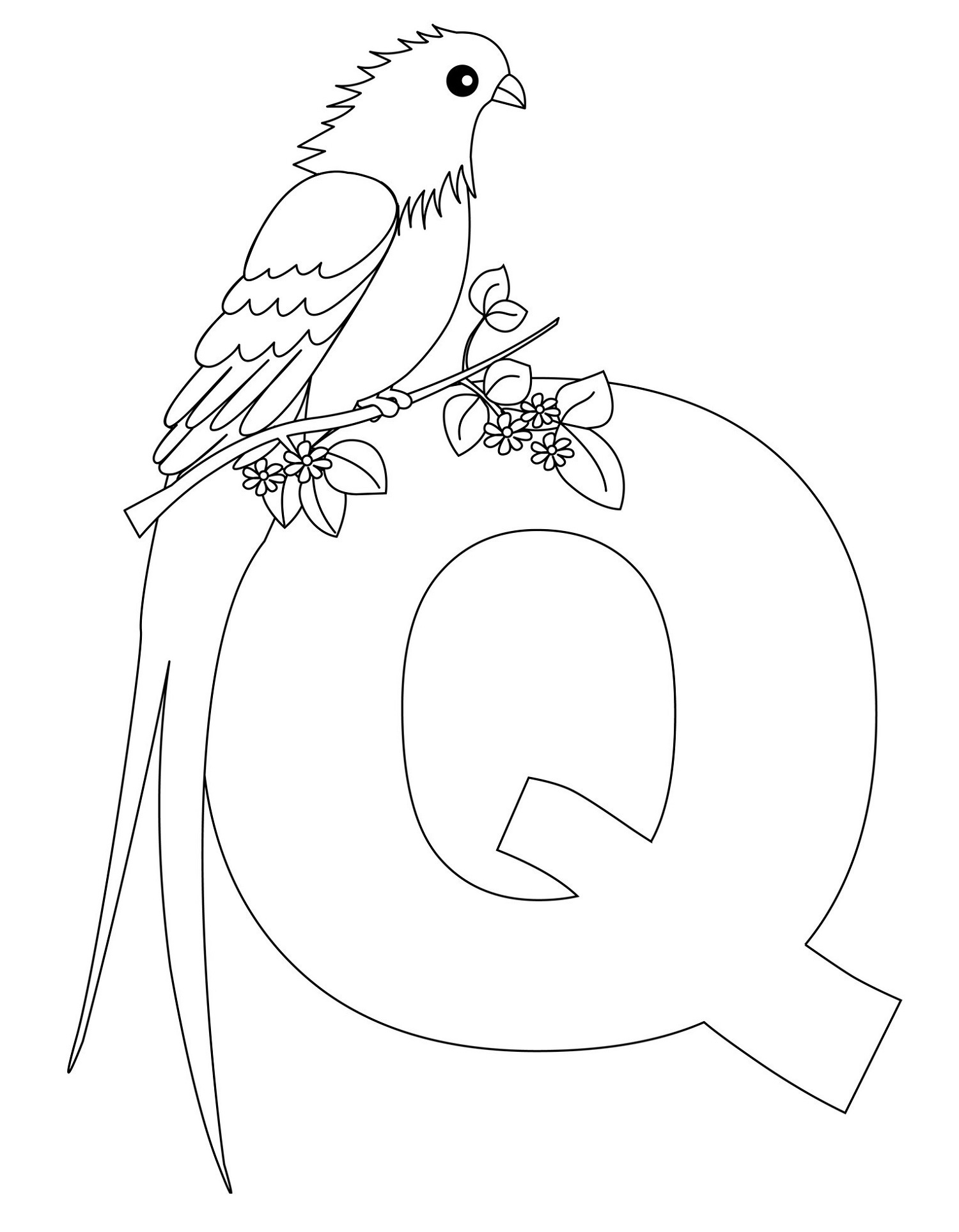 Letter Coloring Pages Free Q