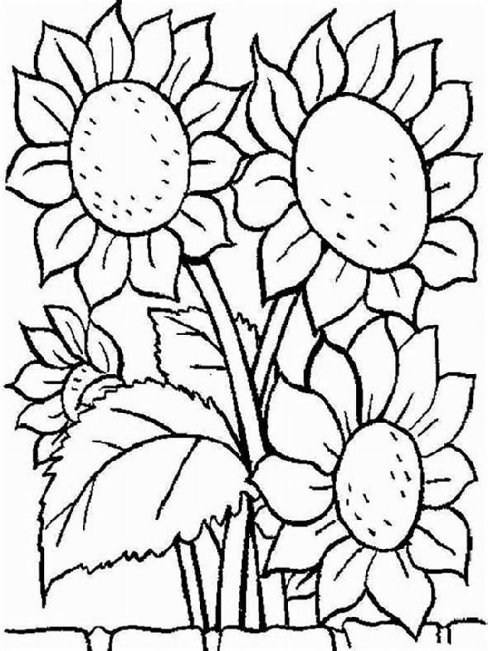May Day Coloring Pages Flowers