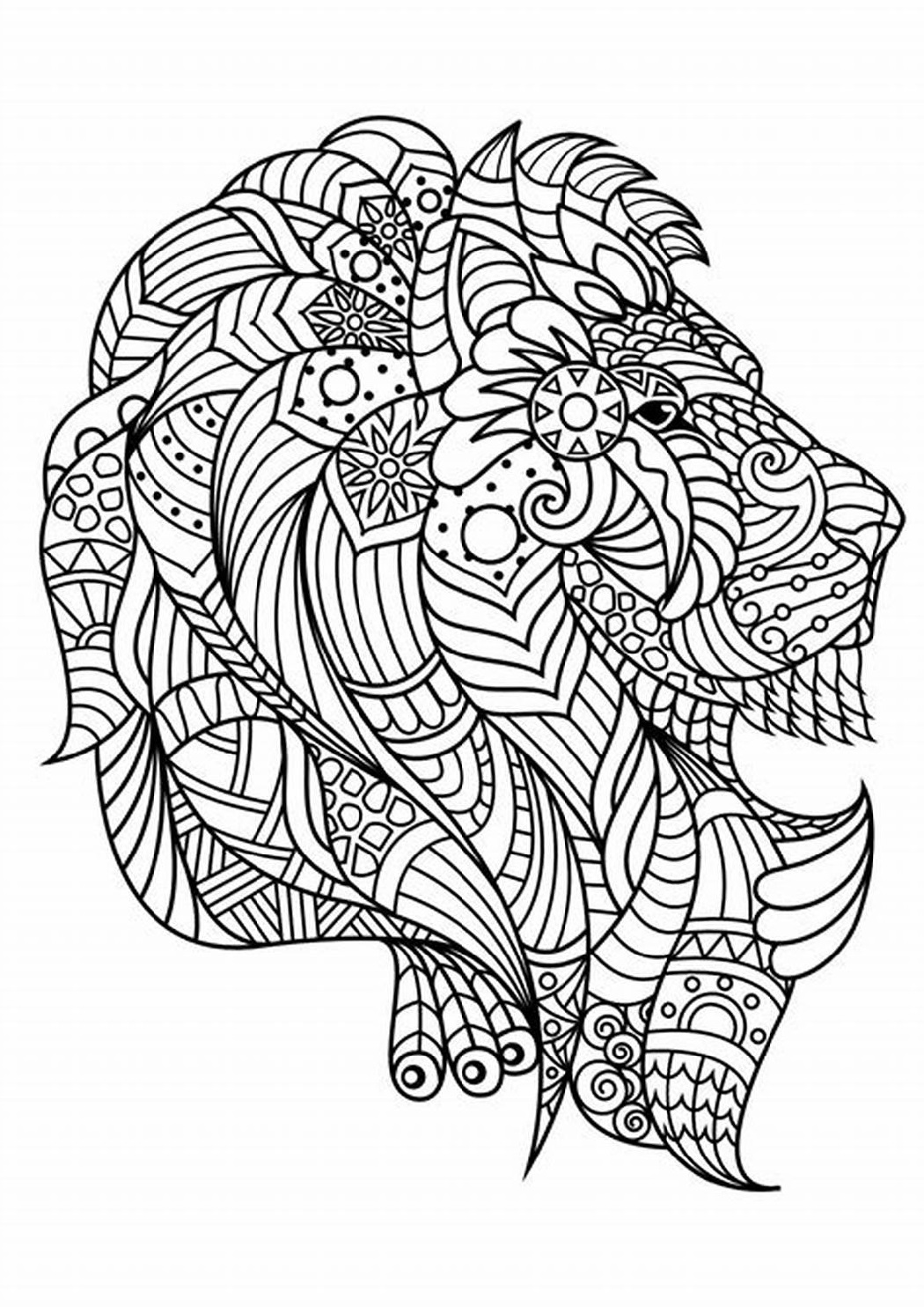 Coloring Pages To Print For Adults Lion
