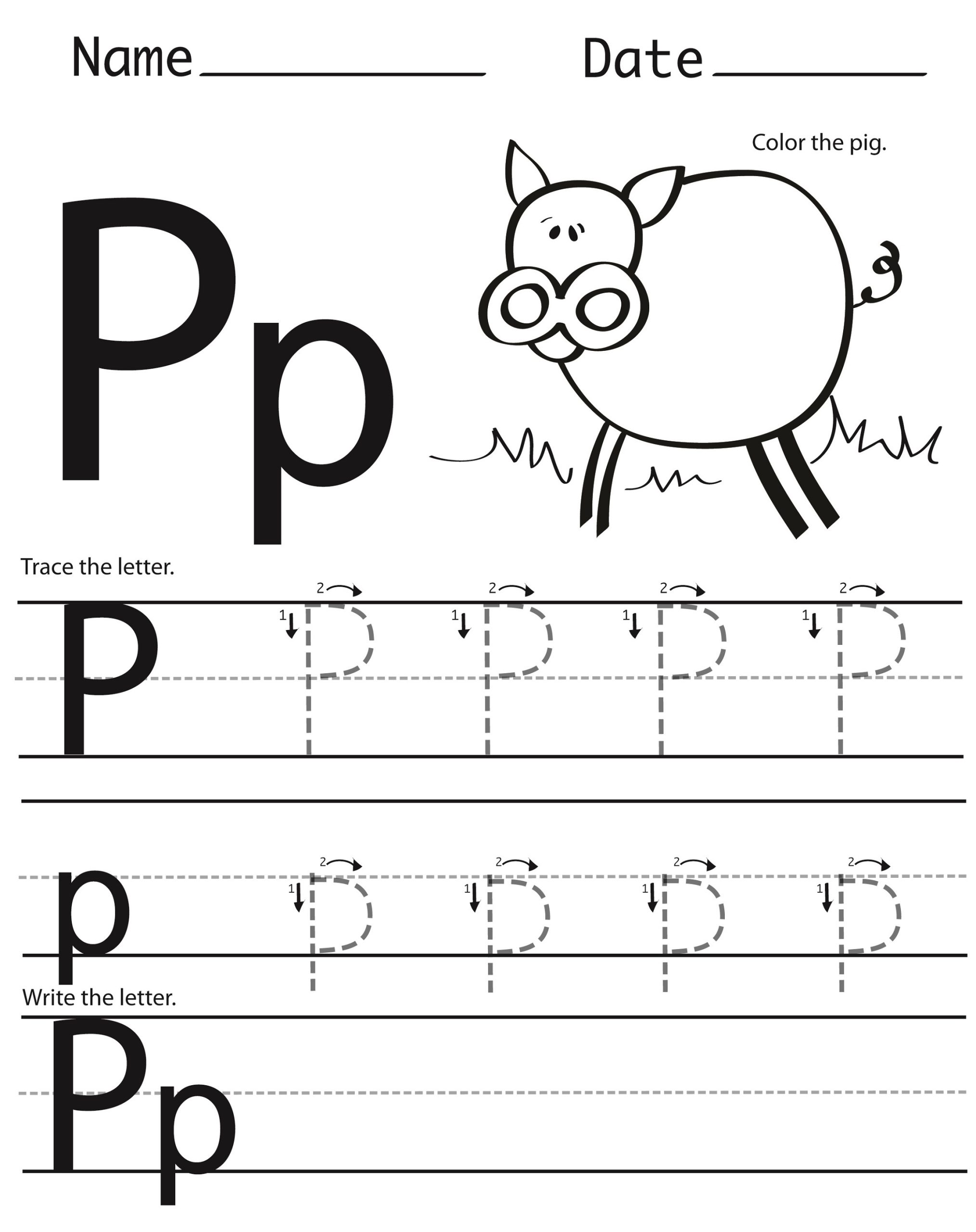 Letter P Worksheets Pig