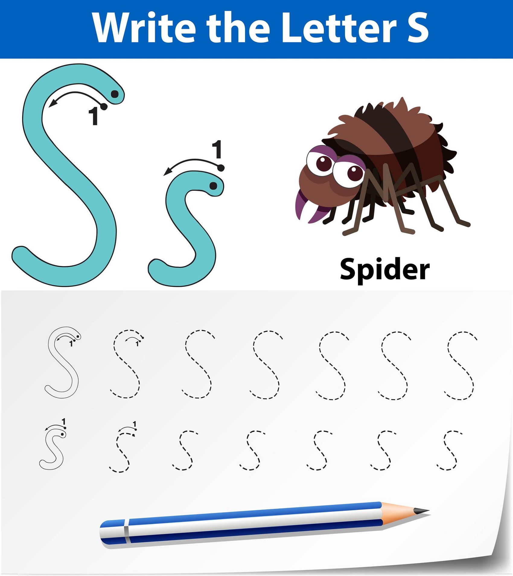 Letter S Worksheets Spider