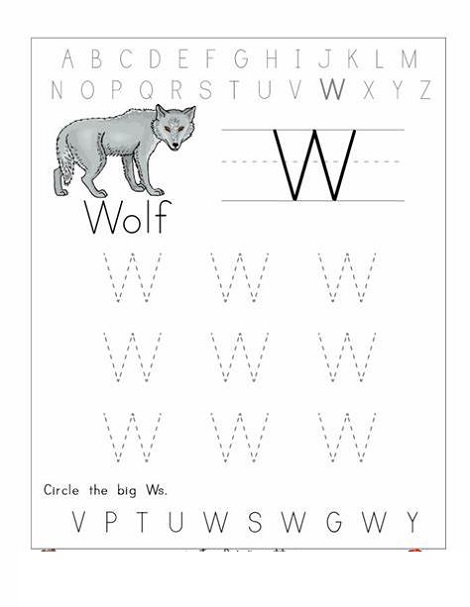 Letter W Worksheets Wolf