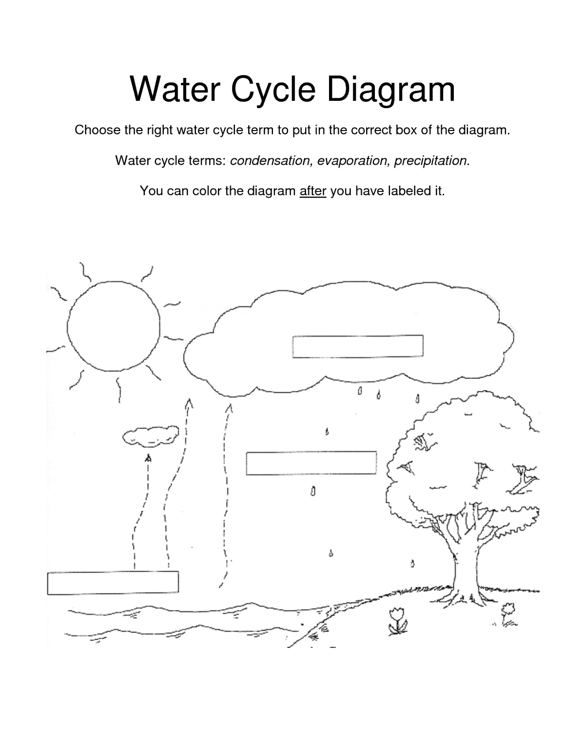 Water Cycle Worksheet Category