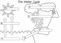 Water Cycle Worksheet One Teacher's
