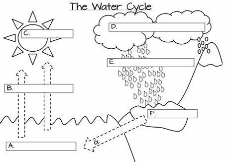 Water Cycle Worksheet One Teacher's