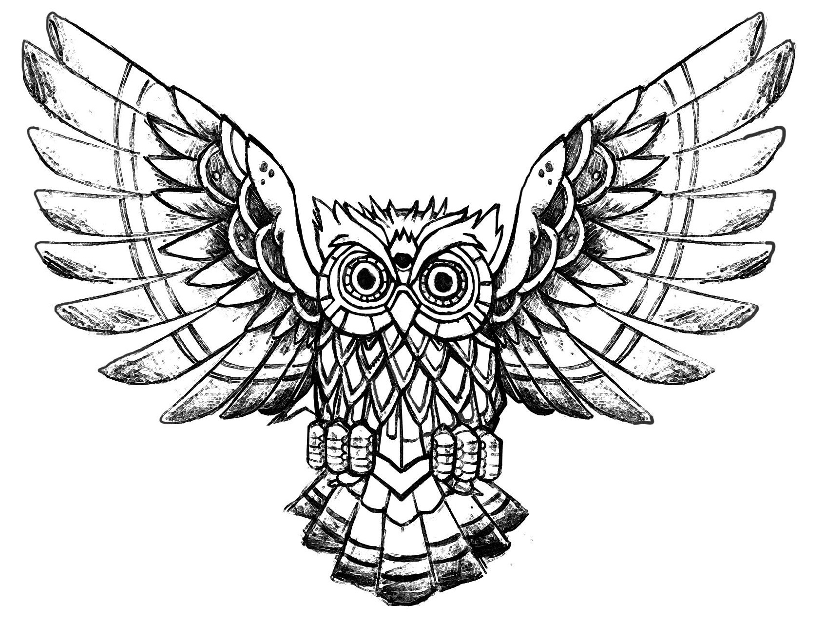 Drawing Sheets Printable Owl
